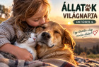Állatok világnapja: felelős állattartás nélkül nincs valódi állatvédelem